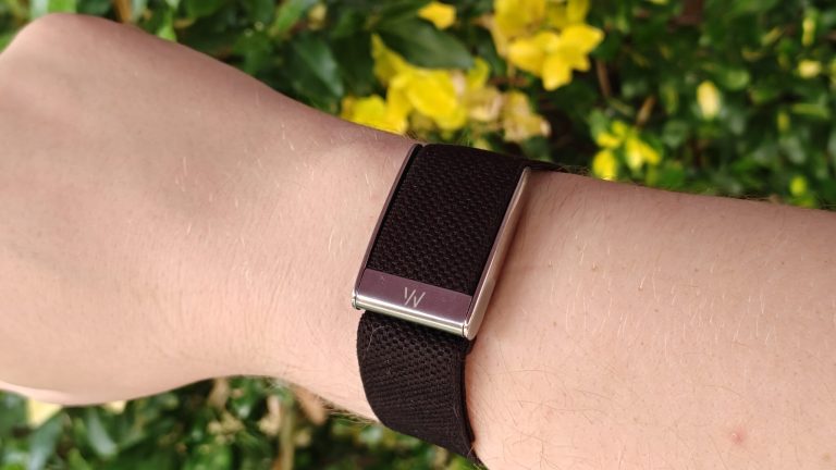 Google’s Whoop rival might finally have a name