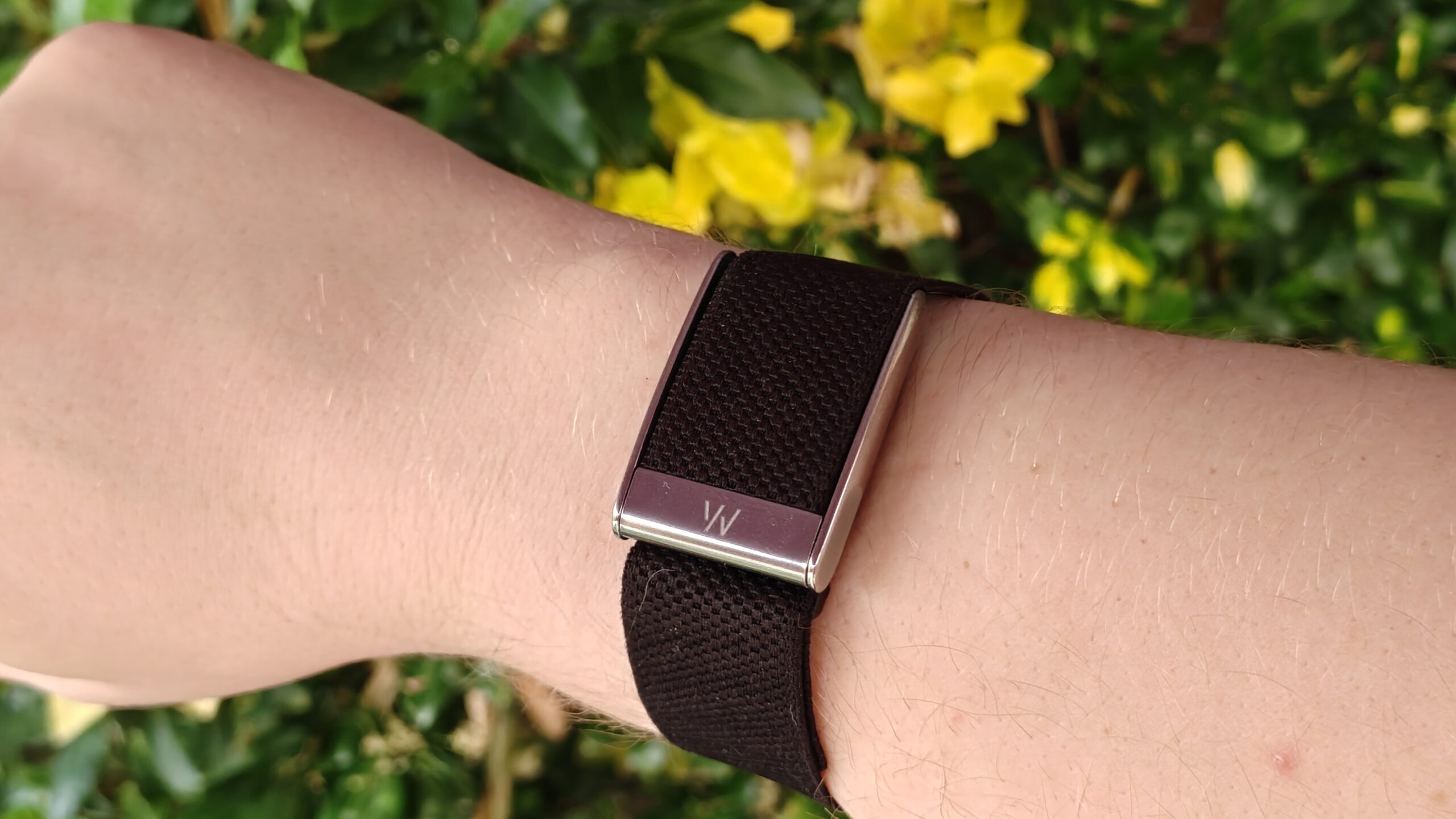 Google’s Whoop rival might finally have a name