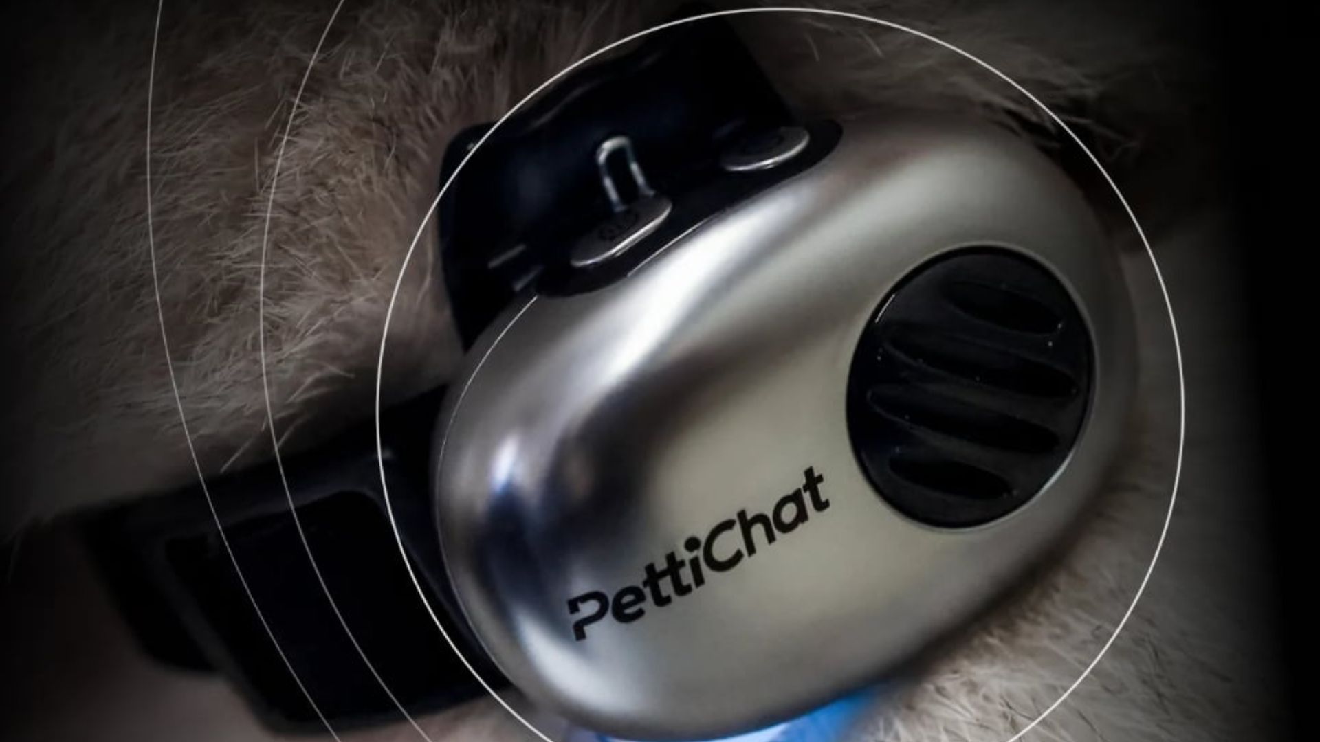 You can now get an AI translator for your pet – yes, really