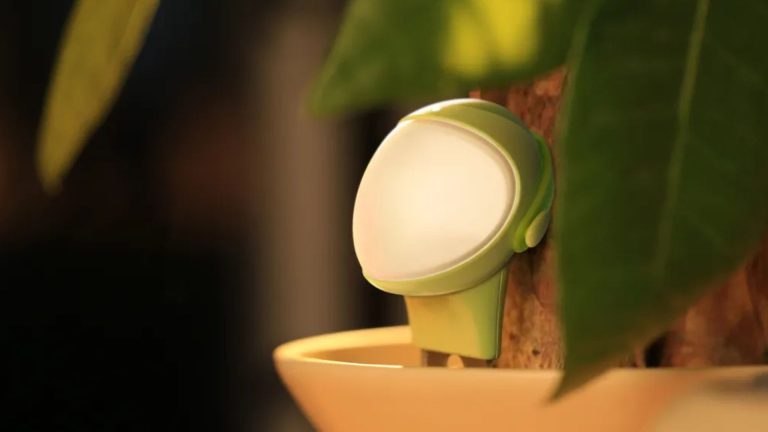 This cute AI sensor helps you care for your plants
