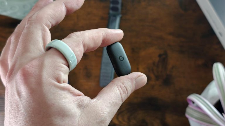 Google just opened the door to custom Fitbit Air accessories