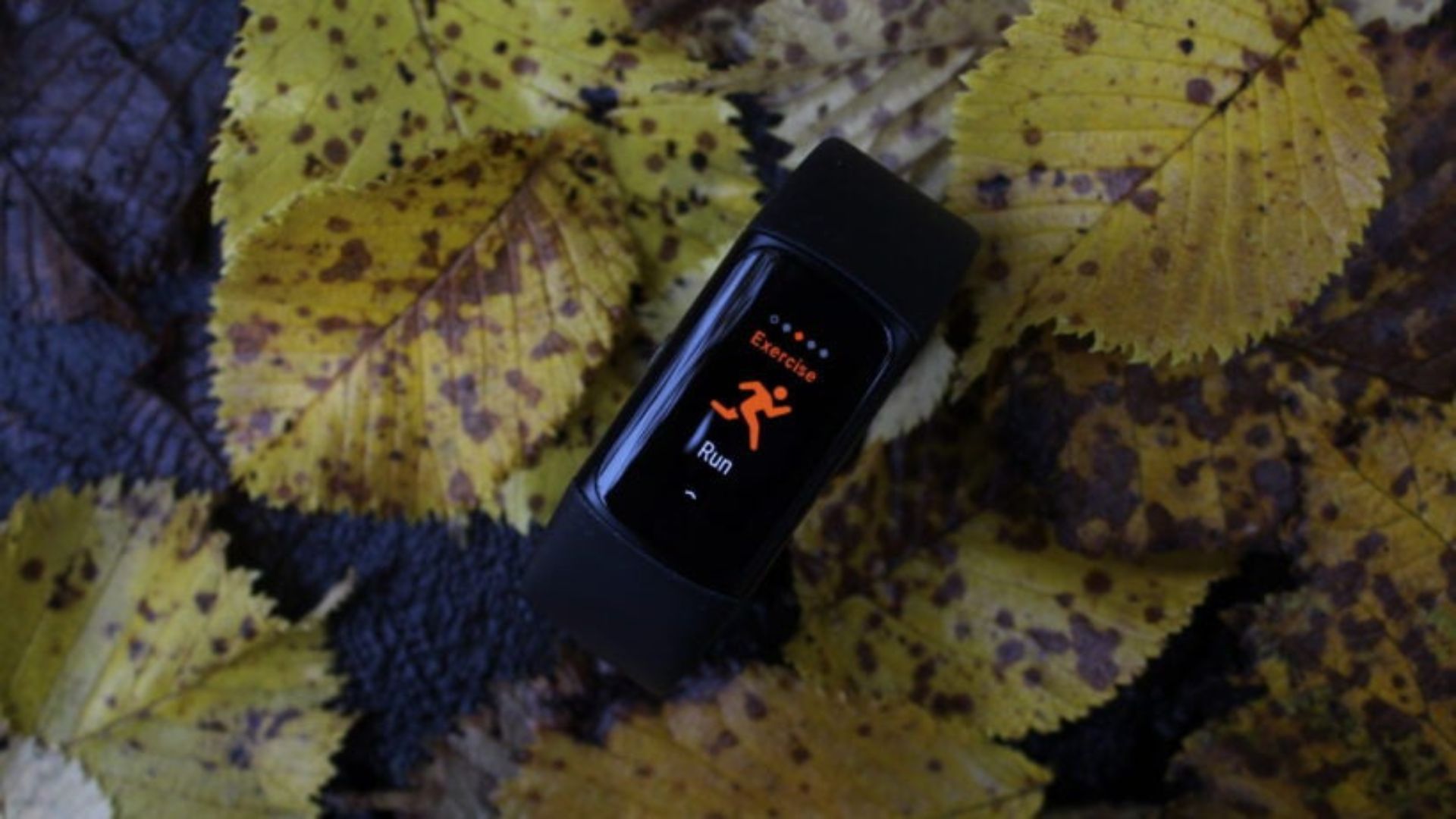 A mysterious Google wearable just popped up in Pixel 11 ads