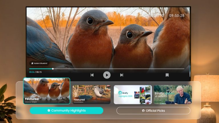 You can now live stream birds in your garden from your TV